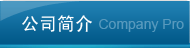 公司簡介